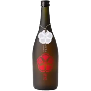 堤酒造 長期熟成本格燒酎 藏八梅酒