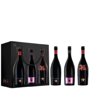 金星啤酒 2025端午禮盒組-粽星雲集
