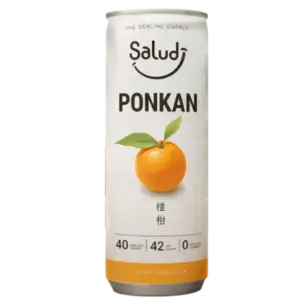 Salud 椪柑果汁氣泡飲