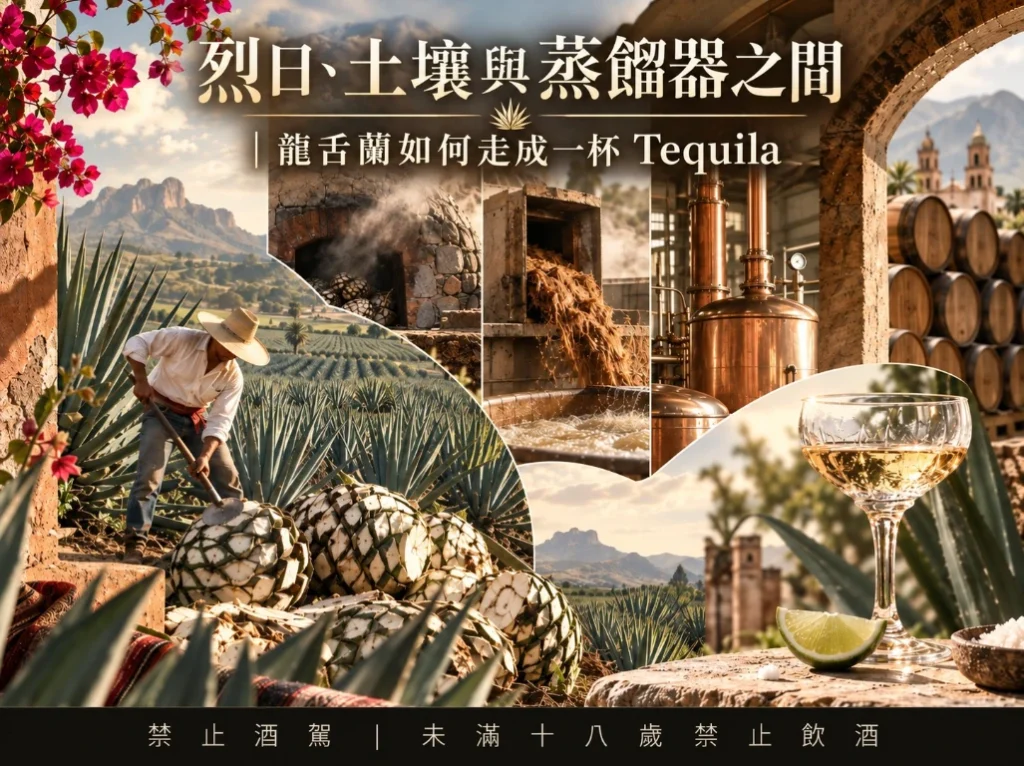 烈日、土壤與蒸餾器之間｜龍舌蘭如何走成一杯 Tequila